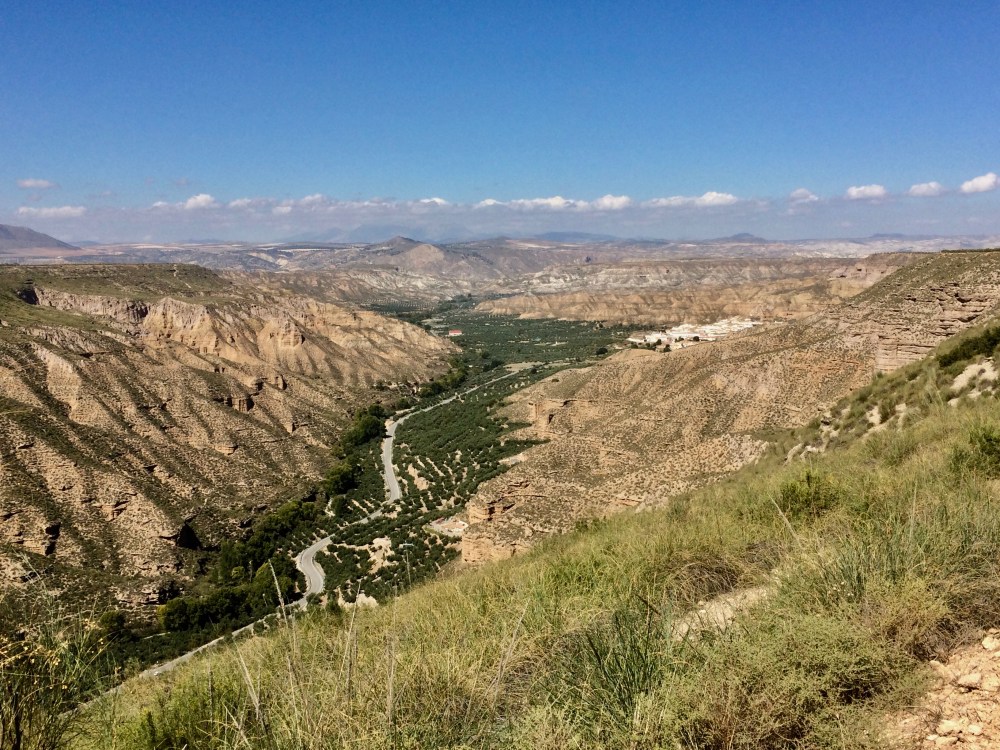 EF9BB272-2FB0-4517-8928-EB3FD32CD370