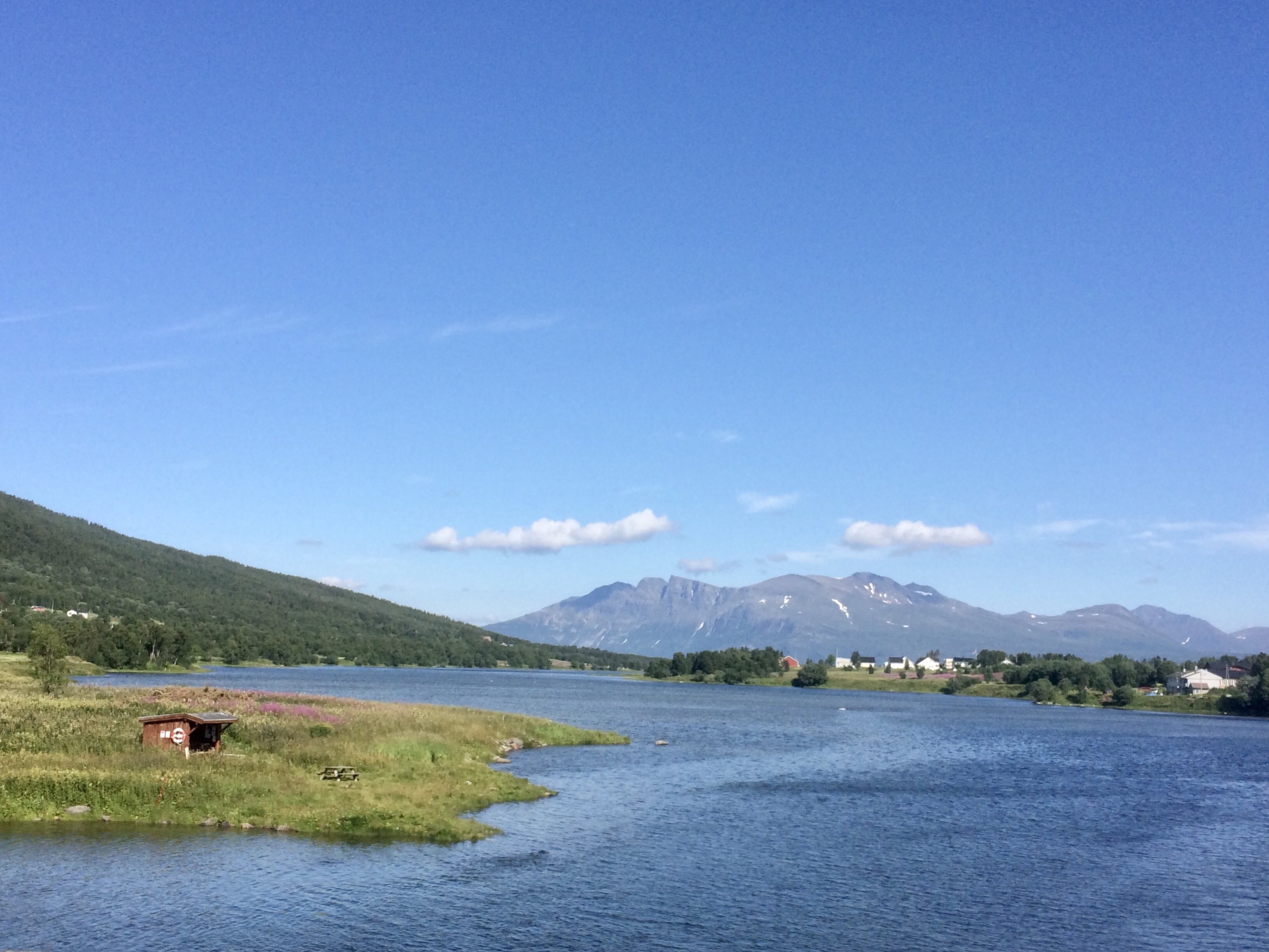 09B062BA-9C74-4937-AD02-F1D0CDA5DF89