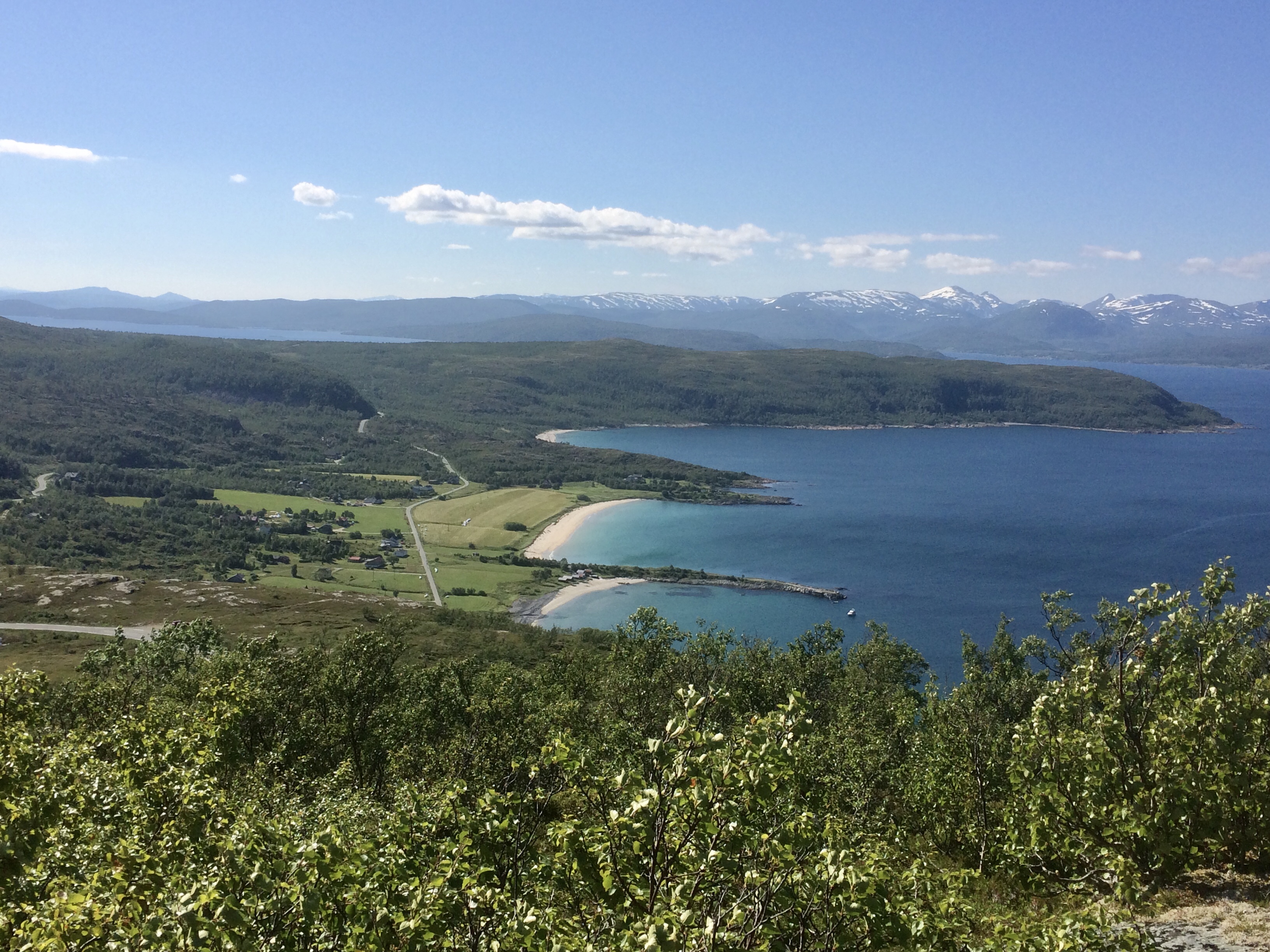 BA9CAD95-A560-4B02-9B0C-E423C5227317