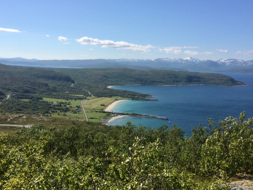 BA9CAD95-A560-4B02-9B0C-E423C5227317